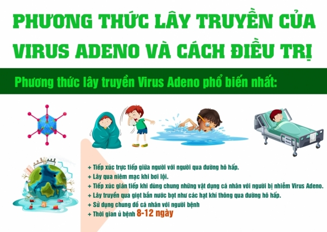 [Infographic] - Phương thức lây truyền của virus Adeno và cách điều trị