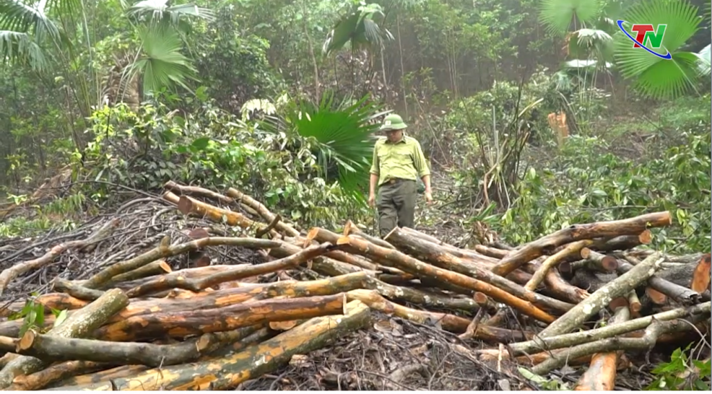 Cần nâng cao ý thức trách nhiệm quản lý bảo vệ rừng từ cơ sở