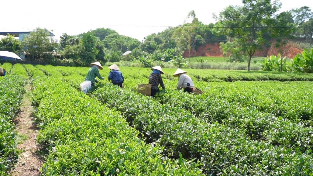 Định Hóa: Tiến sát tới đích huyện Nông thôn mới Định Hóa: Tiến sát tới đích huyện Nông thôn mới