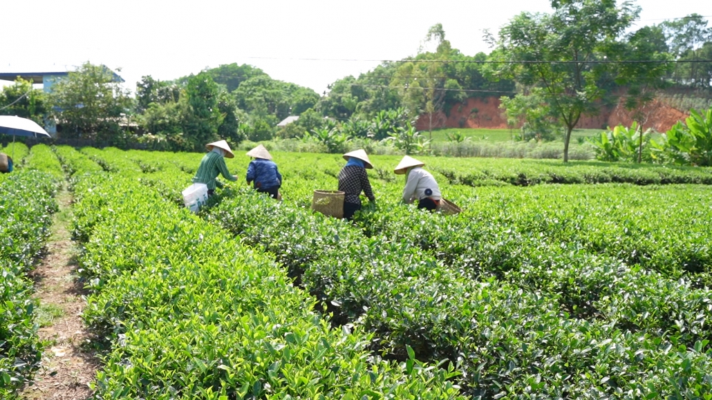 Định Hóa: Tiến sát tới đích huyện Nông thôn mới