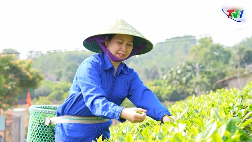 Tích tụ đất đai để sản xuất lớn