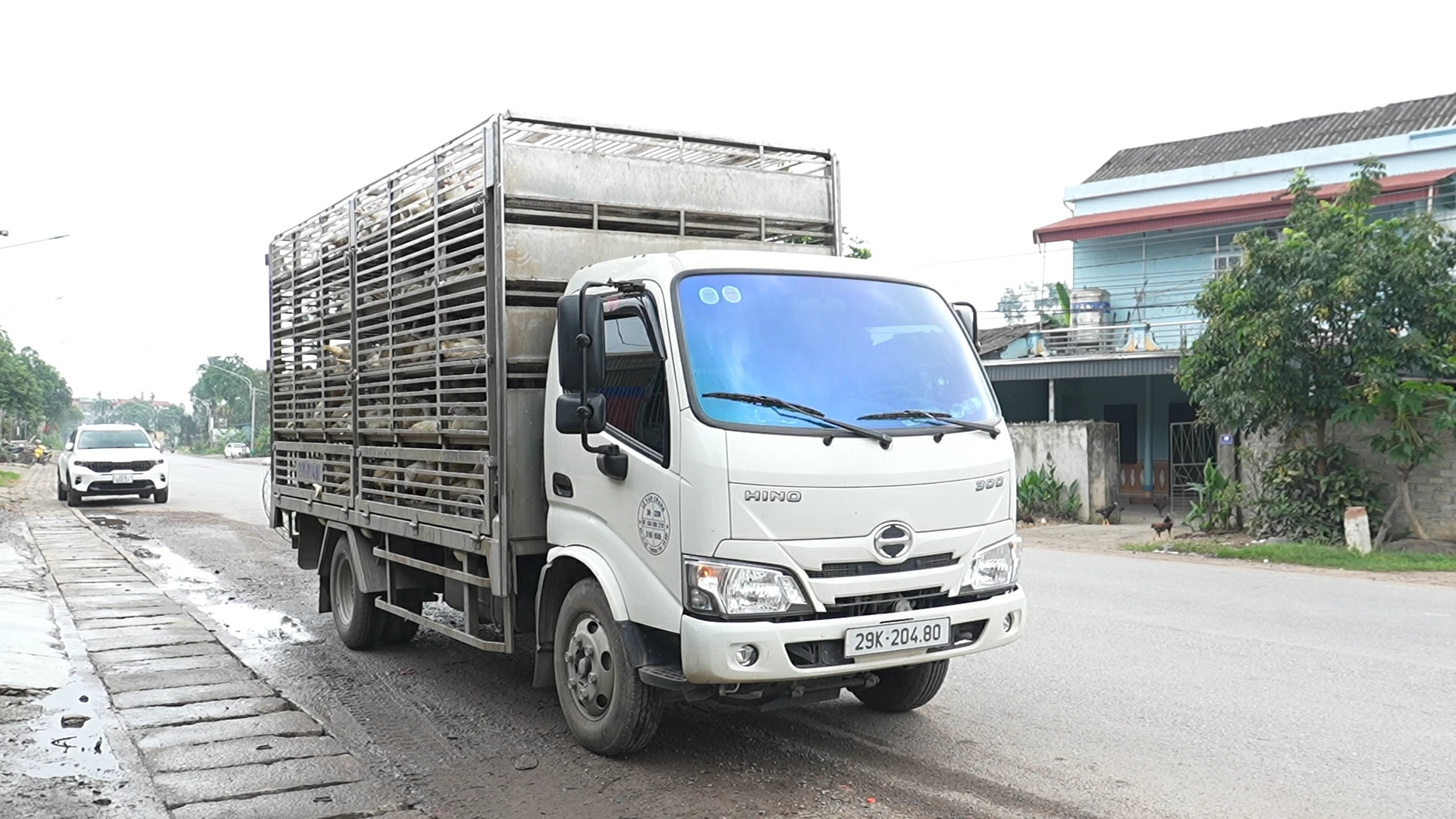Thái Nguyên: Liên tiếp phát hiện hai vụ vận chuyển động vật ra khỏi địa bàn cấp tỉnh trái quy định