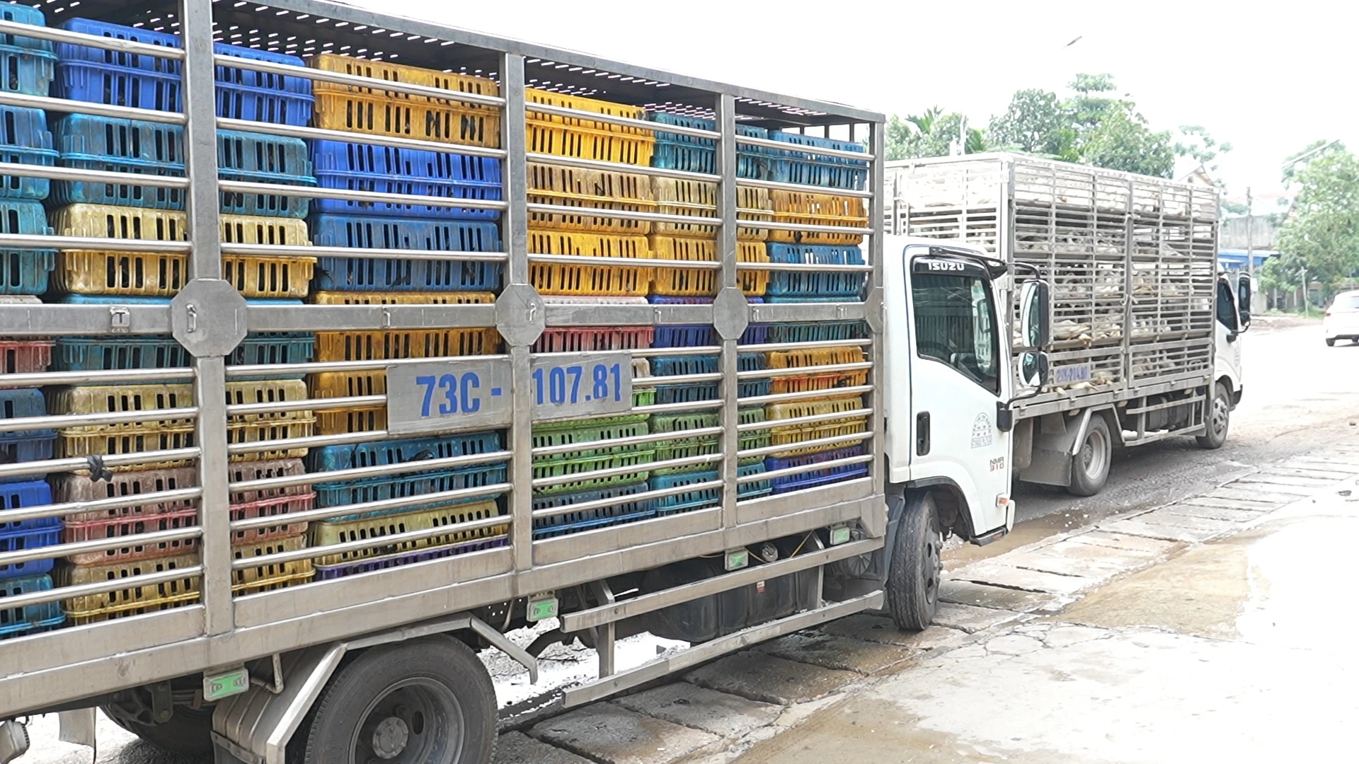 Thái Nguyên: Liên tiếp phát hiện hai vụ vận chuyển động vật ra khỏi địa bàn cấp tỉnh trái quy định