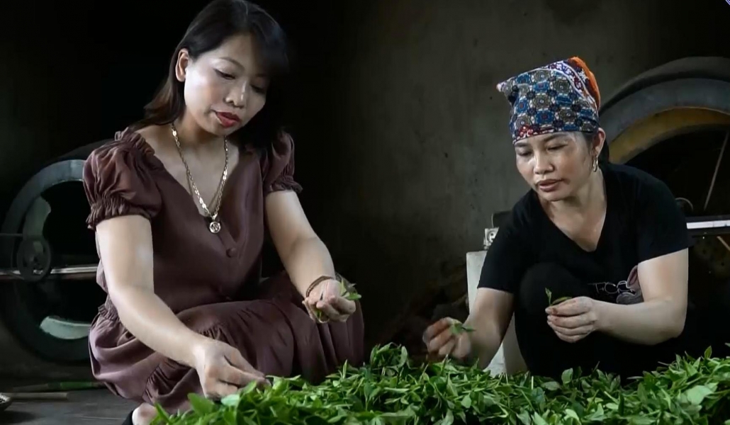 Lan tỏa không gian văn hóa trà giữa lòng TP Thái Nguyên