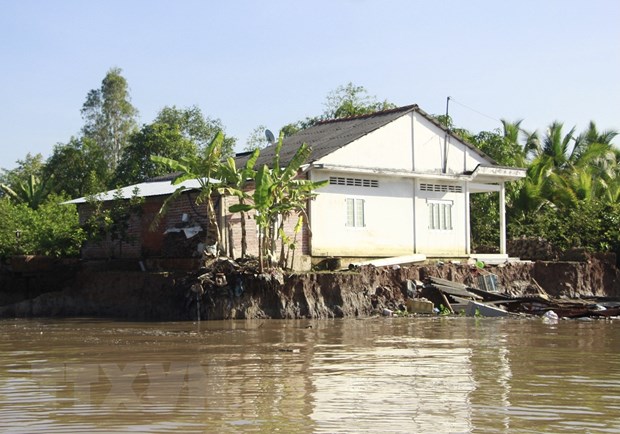 Vĩnh Long: Sạt lở bờ sông Cổ Chiên làm 13 căn nhà rơi xuống sông
