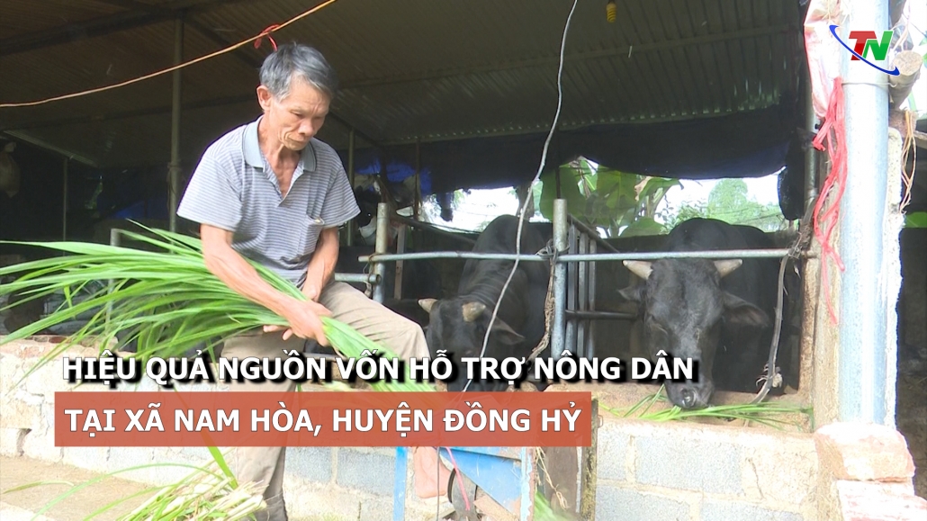 Hiệu quả nguồn vốn hỗ trợ nông dân tại xã Nam Hòa, huyện Đồng Hỷ